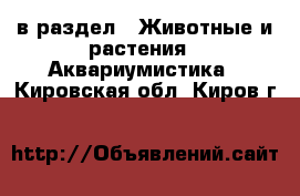  в раздел : Животные и растения » Аквариумистика . Кировская обл.,Киров г.